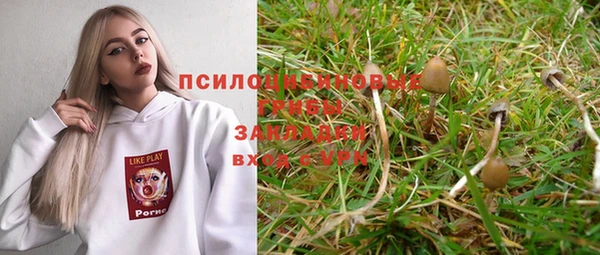 прущая мука Баксан