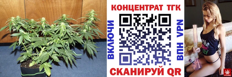 Купить где  Сергач  ТГК вейп 